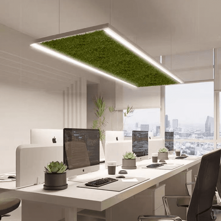 office-acoustic-lighting
